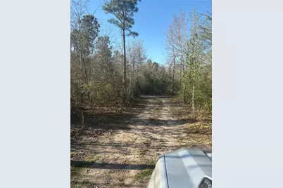 00 County Road 4180, Lovelady, TX 75851 - Photo 2