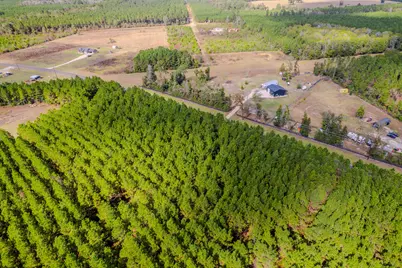 Lot 6 Fm 943, Livingston, TX 77351 - Photo 4