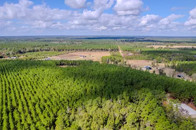 Lot 6 Fm 943, Livingston, TX 77351 - Photo 2