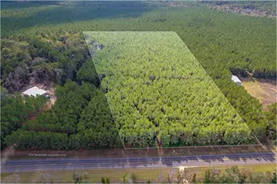 Lot 6 Fm 943, Livingston, TX 77351 - Photo 1