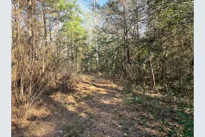 1498 County Road 325, Cleveland, TX 77327 - Photo 32