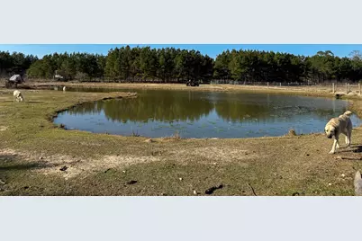 1498 County Road 325, Cleveland, TX 77327 - Photo 34