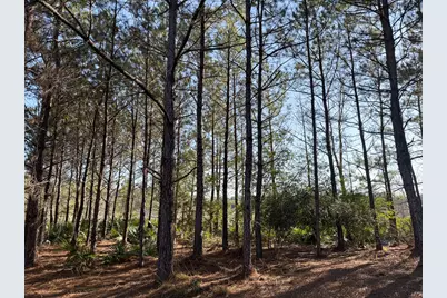 1498 County Road 325, Cleveland, TX 77327 - Photo 38