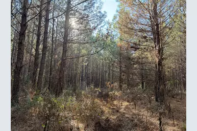 1498 County Road 325, Cleveland, TX 77327 - Photo 30