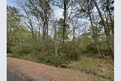 Tbd28 Broadmoor Drive, Trinity, TX 75862 - Photo 2