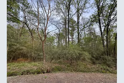 Tbd28 Broadmoor Drive, Trinity, TX 75862 - Photo 4