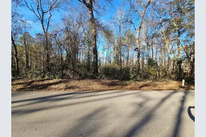 Lot 1 Sherwood Drive, Shepherd, TX 77371 - Photo 6