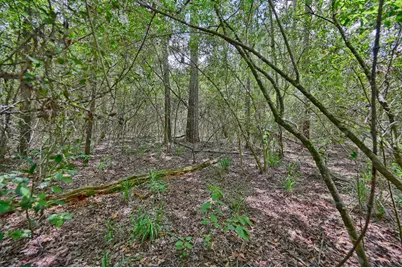 16893 Whippoorwill Road, Navasota, TX 77868 - Photo 30
