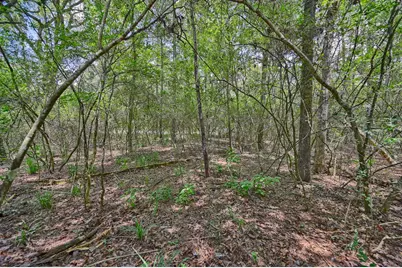 16893 Whippoorwill Road, Navasota, TX 77868 - Photo 26