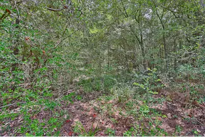 16893 Whippoorwill Road, Navasota, TX 77868 - Photo 20