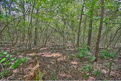 16893 Whippoorwill Road, Navasota, TX 77868 - Photo 28