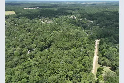 16893 Whippoorwill Road, Navasota, TX 77868 - Photo 12
