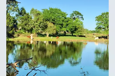 00004 Nelson Road, Hempstead, TX 77445 - Photo 16