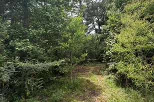 371 Fm 1872, Corrigan, TX 75939 - Photo 46