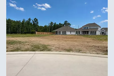 23024 Pearl Lakes Court, Porter, TX 77365 - Photo 12