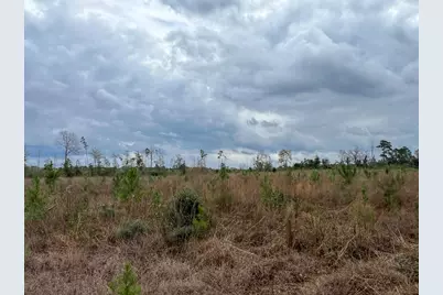 T-3 Cr 4590, Spurger, TX 77660 - Photo 12