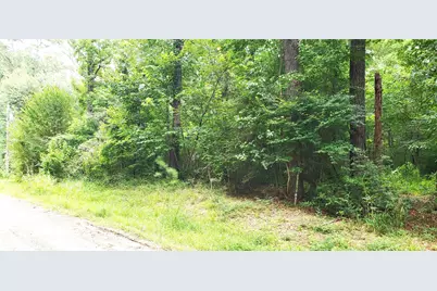 80 Morris Creek Road, Coldspring, TX 77331 - Photo 4