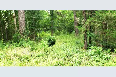 80 Morris Creek Road, Coldspring, TX 77331 - Photo 6