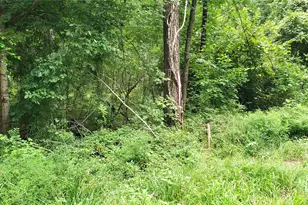 80 Morris Creek Rd, Coldspring, TX 77331 - Photo 1