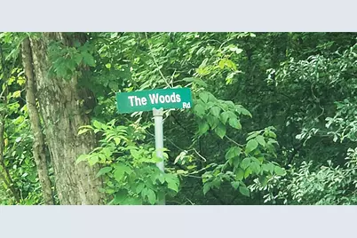 80 Morris Creek Road, Coldspring, TX 77331 - Photo 2