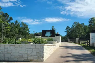 25123 Balmorhea Wy, Montgomery, TX 77316 - Photo 22