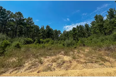 7 County Road 3230, Colmesneil, TX 75938 - Photo 10
