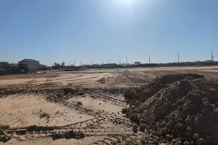 26107 Venus Trap Trail, Katy, TX 77493 - Photo 2