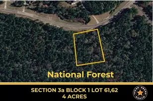 3B-1-61 62 Fire Sky Rd, Huntsville, TX 77340 - Photo 1