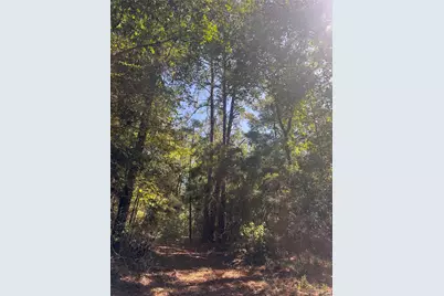 3B-1-61,62 Fire Sky Rd, Huntsville, TX 77340 - Photo 4