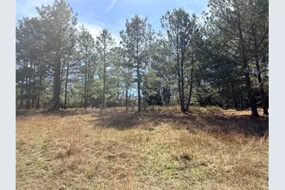 919 Pine Valley, Diboll, TX 75941 - Photo 36