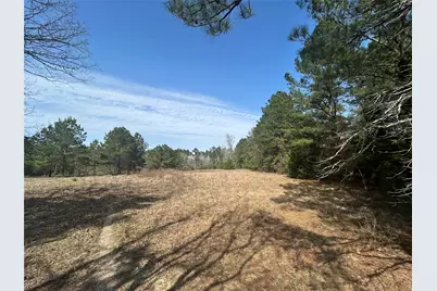 919 Pine Valley, Diboll, TX 75941 - Photo 16