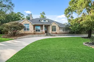 12195 N Lake Vista Dr, Willis, TX 77318 - Photo 10
