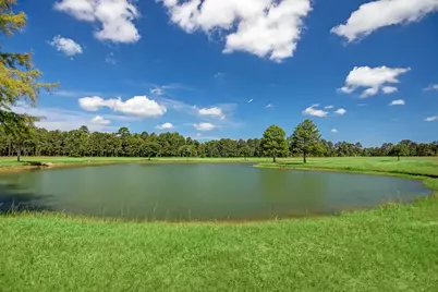 2044 Stallion Lakes Avenue, Hockley, TX 77447 - Photo 12