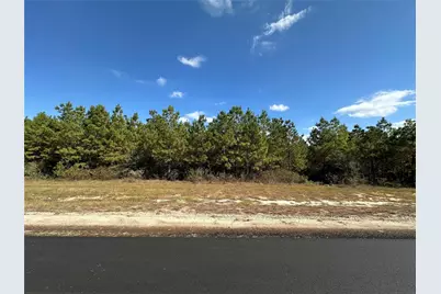 16307 Ridge Oak Road, Willis, TX 77378 - Photo 4