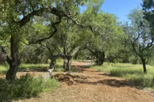 208 Spicewood Trail Dr, Spicewood, TX 78669 - Photo 10