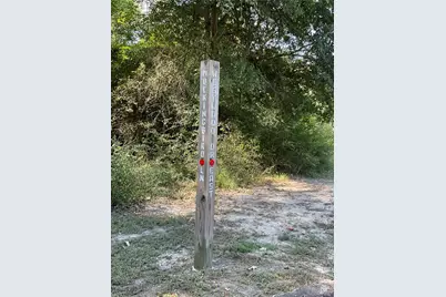 0 Mockingbird Lane, Trinity, TX 75862 - Photo 8