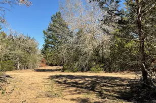 Tbd County Road 212, Hallettsville, TX 77964 - Photo 16