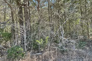 Tbd County Road 212, Hallettsville, TX 77964 - Photo 10