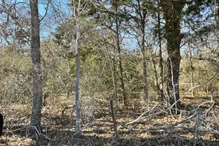 Tbd County Road 212, Hallettsville, TX 77964 - Photo 8