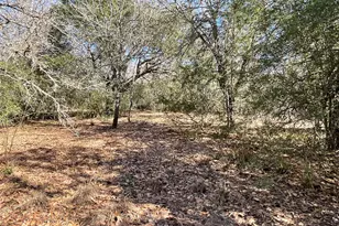 Tbd County Road 212, Hallettsville, TX 77964 - Photo 30