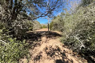 Tbd County Road 212, Hallettsville, TX 77964 - Photo 34