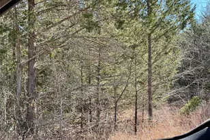 Tbd County Road 212, Hallettsville, TX 77964 - Photo 12