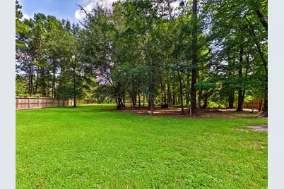 19521 Desna Drive, Porter, TX 77365 - Photo 10