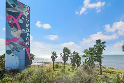 115 Marlin Avenue, Galveston, TX 77550 - Photo 36