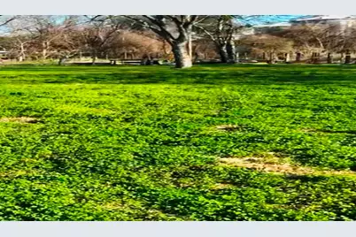 622 6th Street, Eagle Lake, TX 77434 - Photo 10