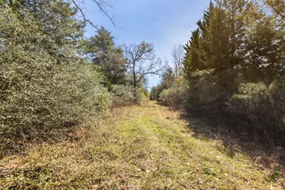 000 Pr 3891, Jewett, TX 75846 - Photo 8