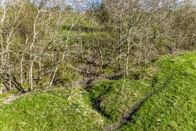 Tbd Fm 50, Brenham, TX 77833 - Photo 6