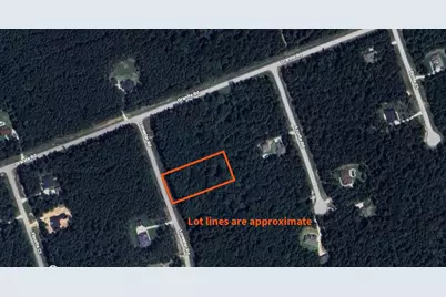 10-27-23 Lonestar Road, Huntsville, TX 77340 - Photo 2