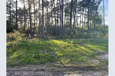 T B D W Hardy Road, Houston, TX 77073 - Photo 6