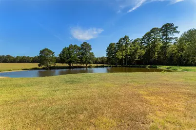 508 Hubert Cryer Road, Zavalla, TX 75980 - Photo 8